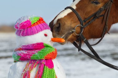 horse and snowman in winter clipart