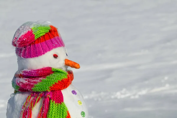 Pupazzo di neve all'aperto nella giornata invernale — Foto Stock