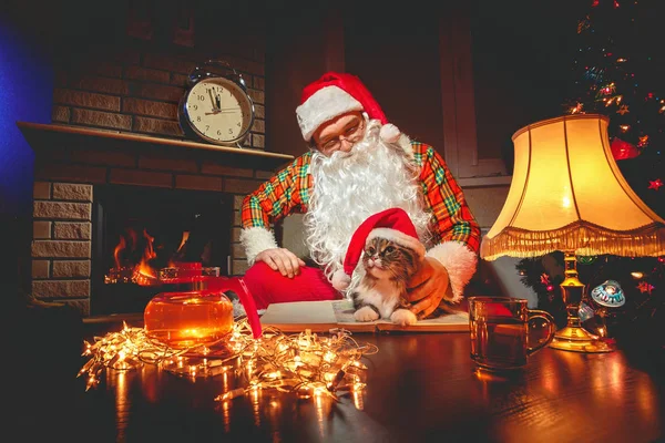 Santa Claus sitting with his cat at home — Stock Photo, Image