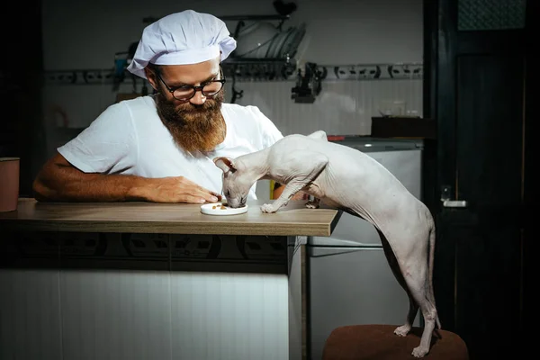 Mannen utfodring hungrig katt — Stockfoto