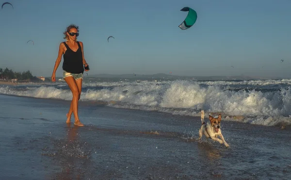 Terrier cão brincando nas ondas da praia — Fotografia de Stock