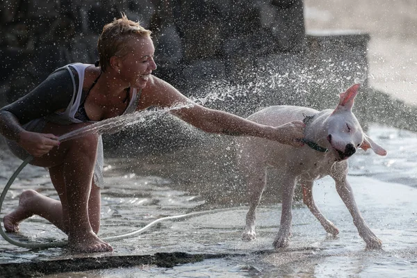 Donna Con Cane Dogo Argentino Bianco Che Doccia Sulla Spiaggia — Foto Stock