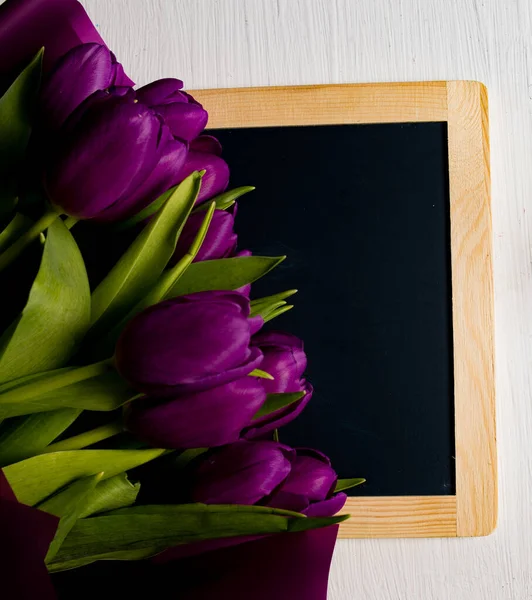 Красивые Фиолетовые Тюльпаны Весенние Цветы — стоковое фото