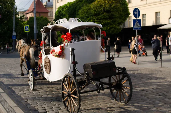 Paarden Koetsen Het Centrum Van Lviv — Stockfoto