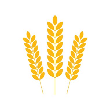 Tarım Buğday Logosu Şablonu, Buğday Kulakları. Vektör stok illüstrasyonu.