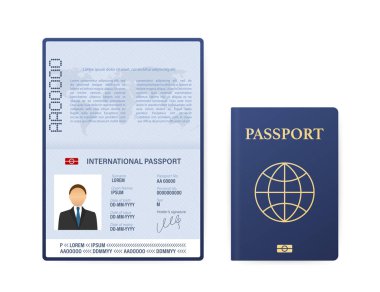 Boş pasaport şablonu. Örnek kişisel veri sayfası olan uluslararası pasaport. Vektör stok illüstrasyonu.