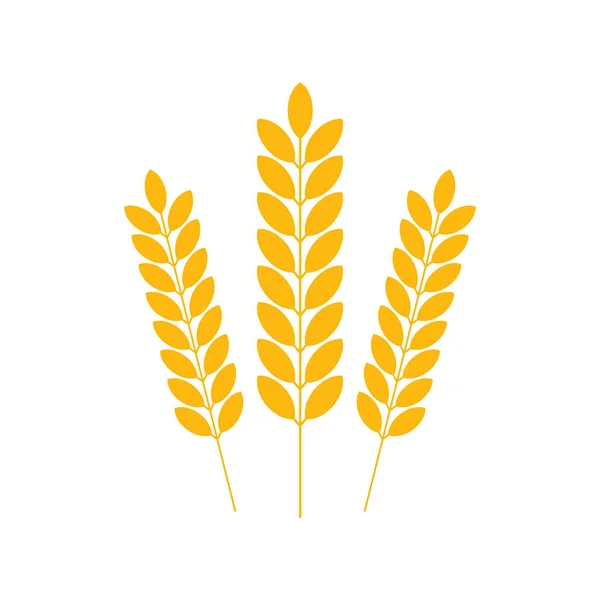 Agricultura trigo logotipo modelo, orelhas de trigo. Ilustração do estoque vetorial . — Vetor de Stock