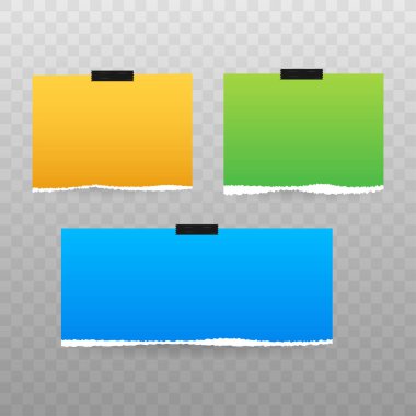 Yırtık kağıt kenarlarının vektör boş sayfası. Vektör stok illüstrasyonu.