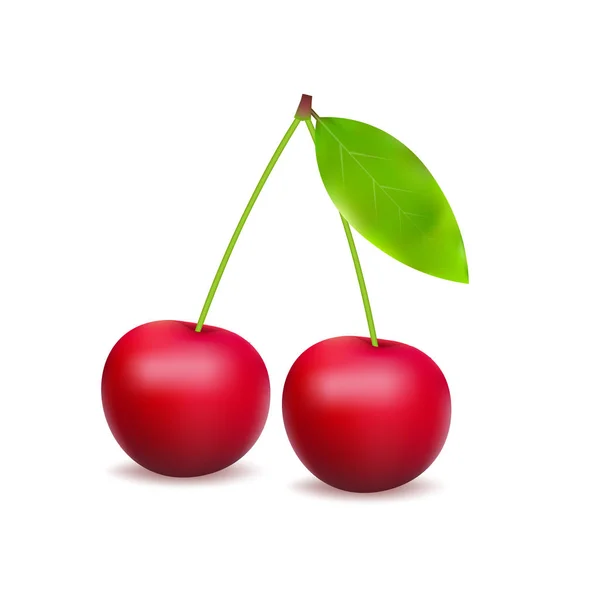 Bayas rojas maduras de cereza con hojas. Ilustración de stock vectorial . — Archivo Imágenes Vectoriales