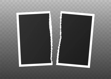 Yırtılmış bir fotoğrafın vektör stok çizimi. Yırtık resim
