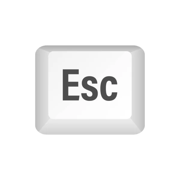 Esc Computertastaturtasten Desktop Schnittstelle Web Symbol Vektoraktiendarstellung — Stockvektor