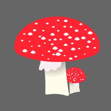 Amanita düz illüstrasyon.