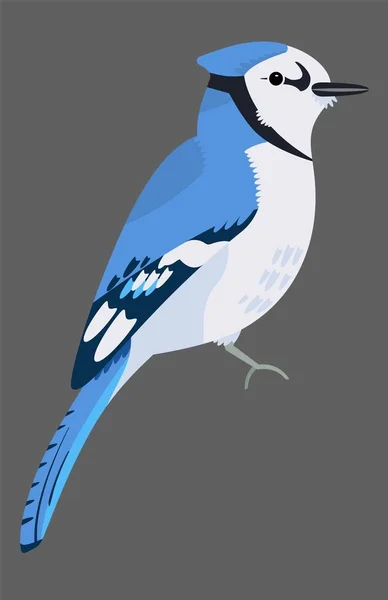 Mignon oiseau bleu Jay icône. Signe animal assis . — Image vectorielle