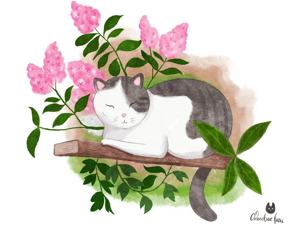 Cat with flowers. Watercolor greeting card. — Φωτογραφία Αρχείου