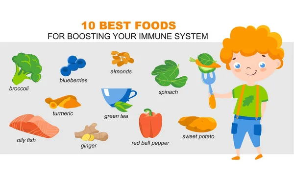 Десять лучших продуктов для иммунного здоровья. Вектор — стоковый вектор