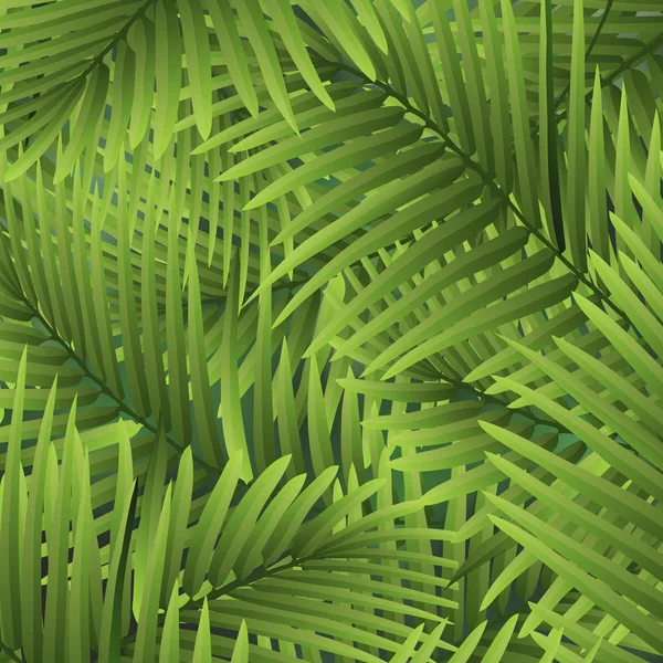 Hojas de palma tropical. — Vector de stock