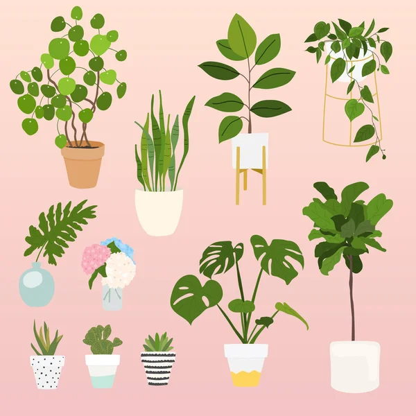 Conjunto de plantas en macetas — Vector de stock