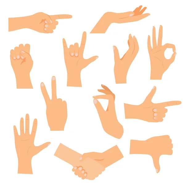 Mãos em vários gestos — Vetor de Stock