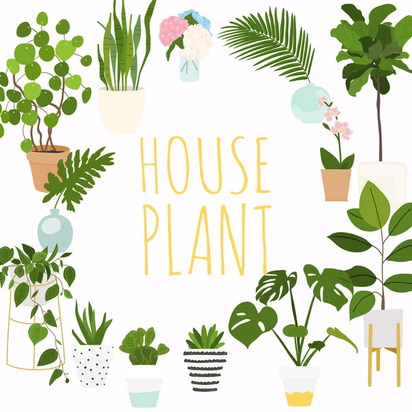 Домашние растения тема — стоковый вектор