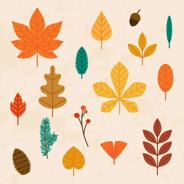 Conjunto de hojas de otoño. — Vector de stock