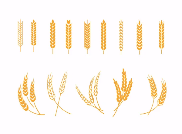 Set of wheats ears icons and wheat design elements. Harvest whea — Stock Vector