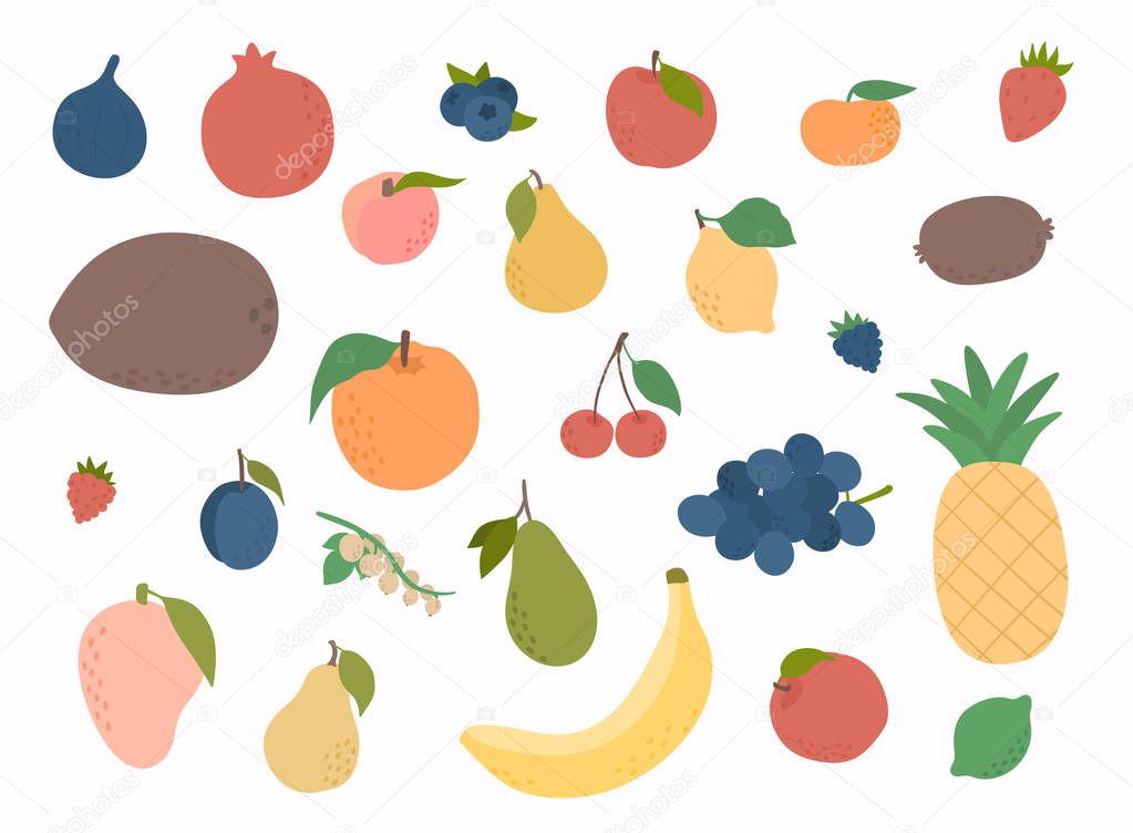 Set of colorful hand draw fruits. Tropical sweet fruits, and citrus fruit illustration. Vector set of fresh Fruits.