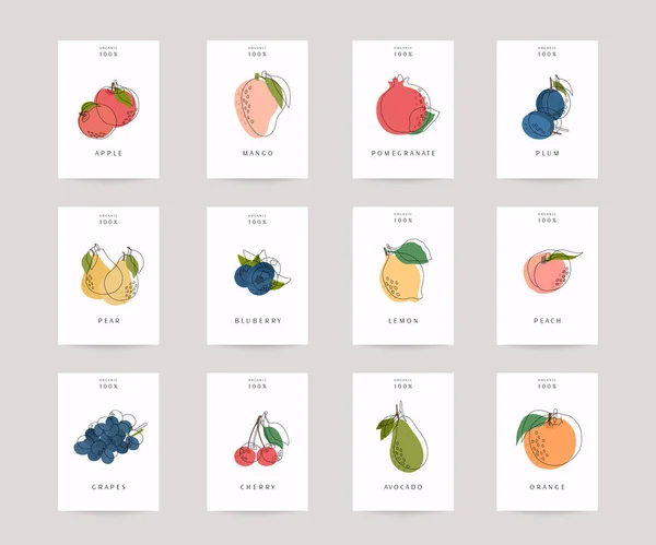 Carteles Frutas Dibujadas Mano Vectoriales Alimentos Ecológicos Conjunto Coloridos Iconos — Vector de stock