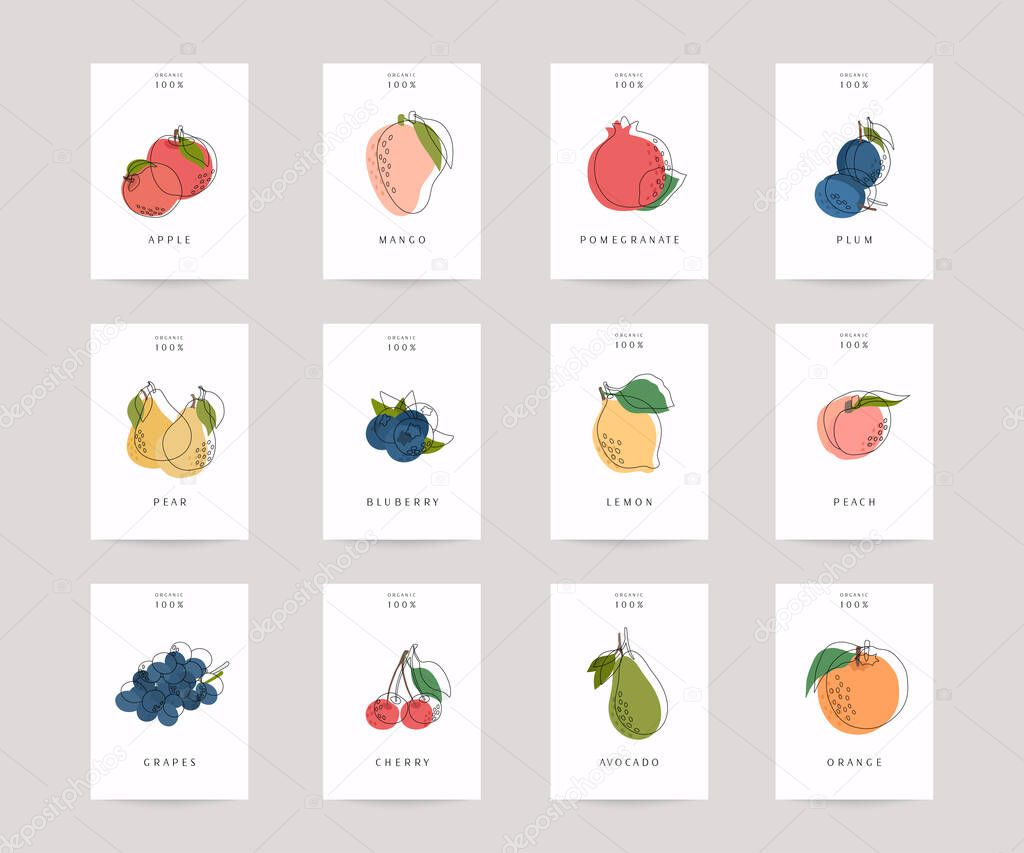 Vector hand drawn fruits posters. Eco foods. Colorful vector icons' set of fruits and vegetables.