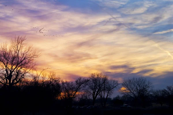 Sandhill Cranes Migrating at Sunset Through the American Midwest — Stock Photo, Image