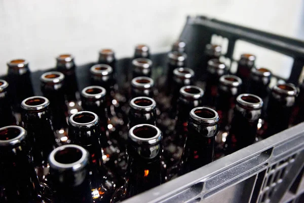 Empty Glass Beer Bottles in Plastic Crate in Brewery — Stock Photo, Image