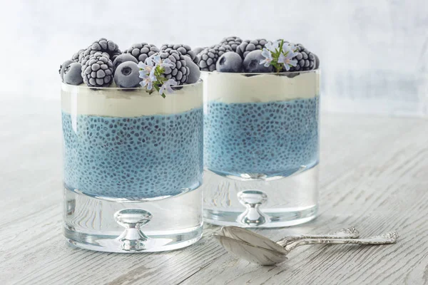 Vegan Blue Spirulina Chia Pudding with Coconut Cream and Frozen Berries — Stock Photo, Image