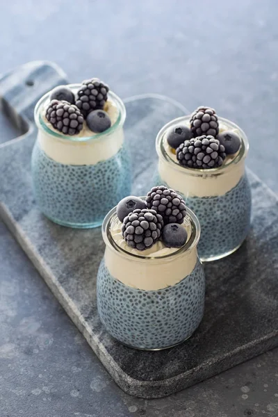 Vegan Blue Spirulina Chia Pudding Whipped Coconut Cream Frozen Berries — Stock Photo, Image