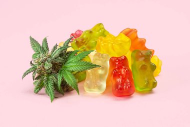 Gummy Bear Medical Marijuana Edibles, Candies Infused with CBD or THC, with Cannabis Bud Isolated on Pink Background clipart