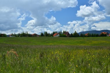 Bir orman kenarında köy evleri