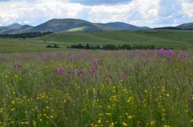 Zlatibor bahar peyzaj