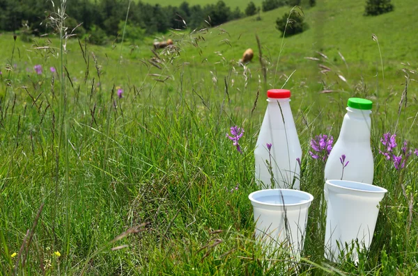 Две бутылки молока и чашки — стоковое фото