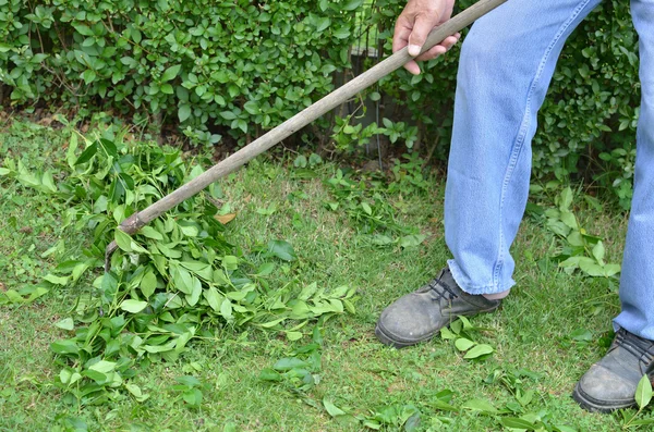 Gardening with Rake — Stock Photo, Image