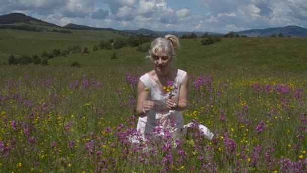 Γυναίκα μάζευε λουλούδια — Αρχείο Βίντεο