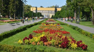 Halk parkı içinde dekoratif çiçek