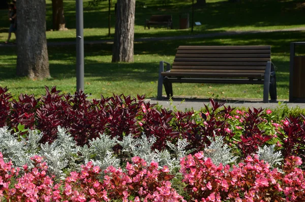 Flores e banco em um parque — Fotografia de Stock