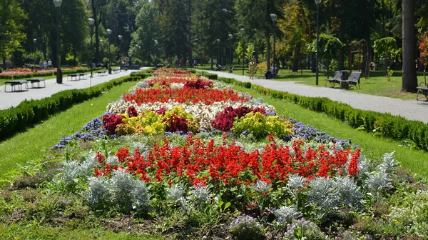 Parque público na Sérvia — Fotografia de Stock