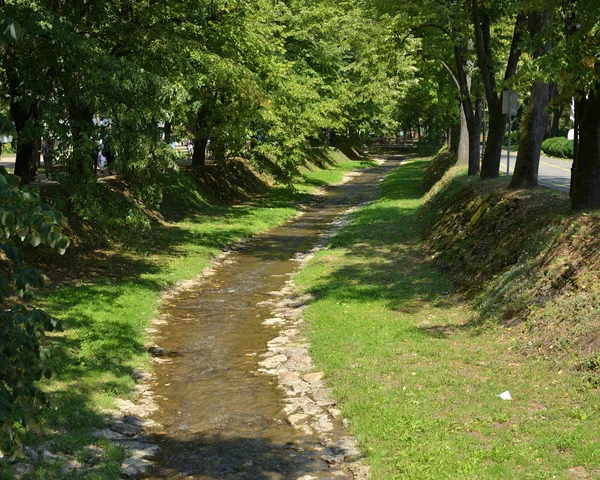 Liten flod flöde — Stockfoto