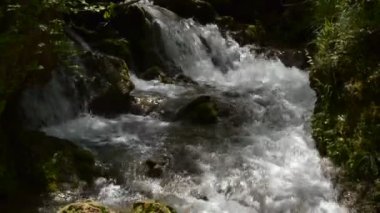 Swift dağ nehir Rapids ile closeup