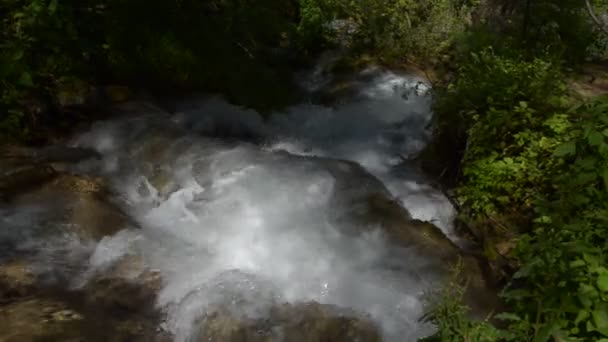 Río de montaña con rápidos — Vídeo de stock