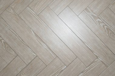 Balık Sırtı yer karoları