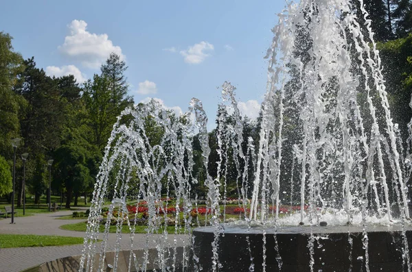 Fontaine dans le parc — Photo