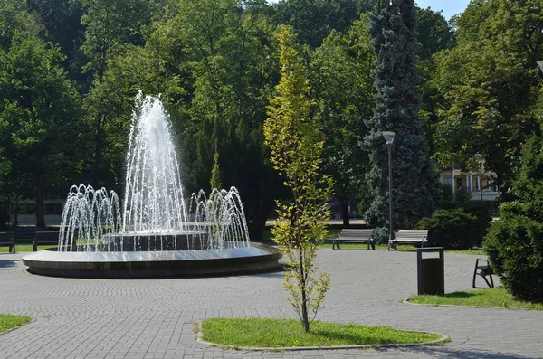 Park med fontän — Stockfoto