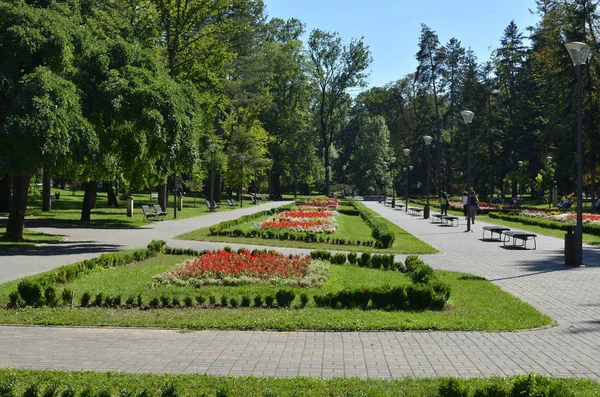 Parque público no verão — Fotografia de Stock