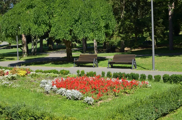 Bänkar i offentlig Park — Stockfoto