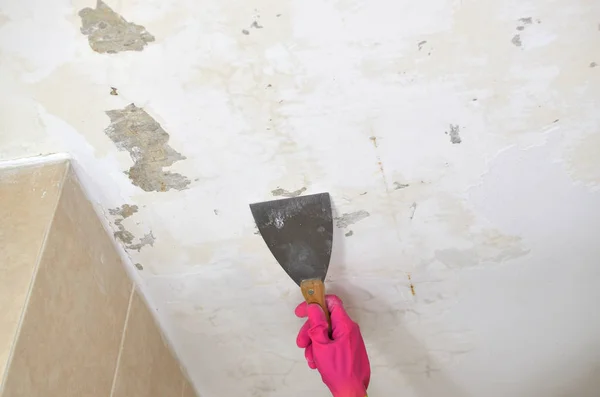 Alçı Spatula ile eldiven el